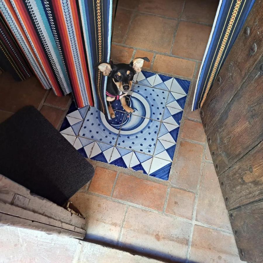 Can Lluna Tu Casa Zen Tárbena Extérieur photo